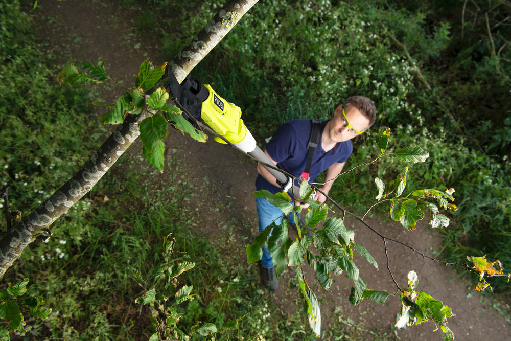 ONE + / Секатор (сучкорез) RYOBI RY18PLA-0 (без батареи)