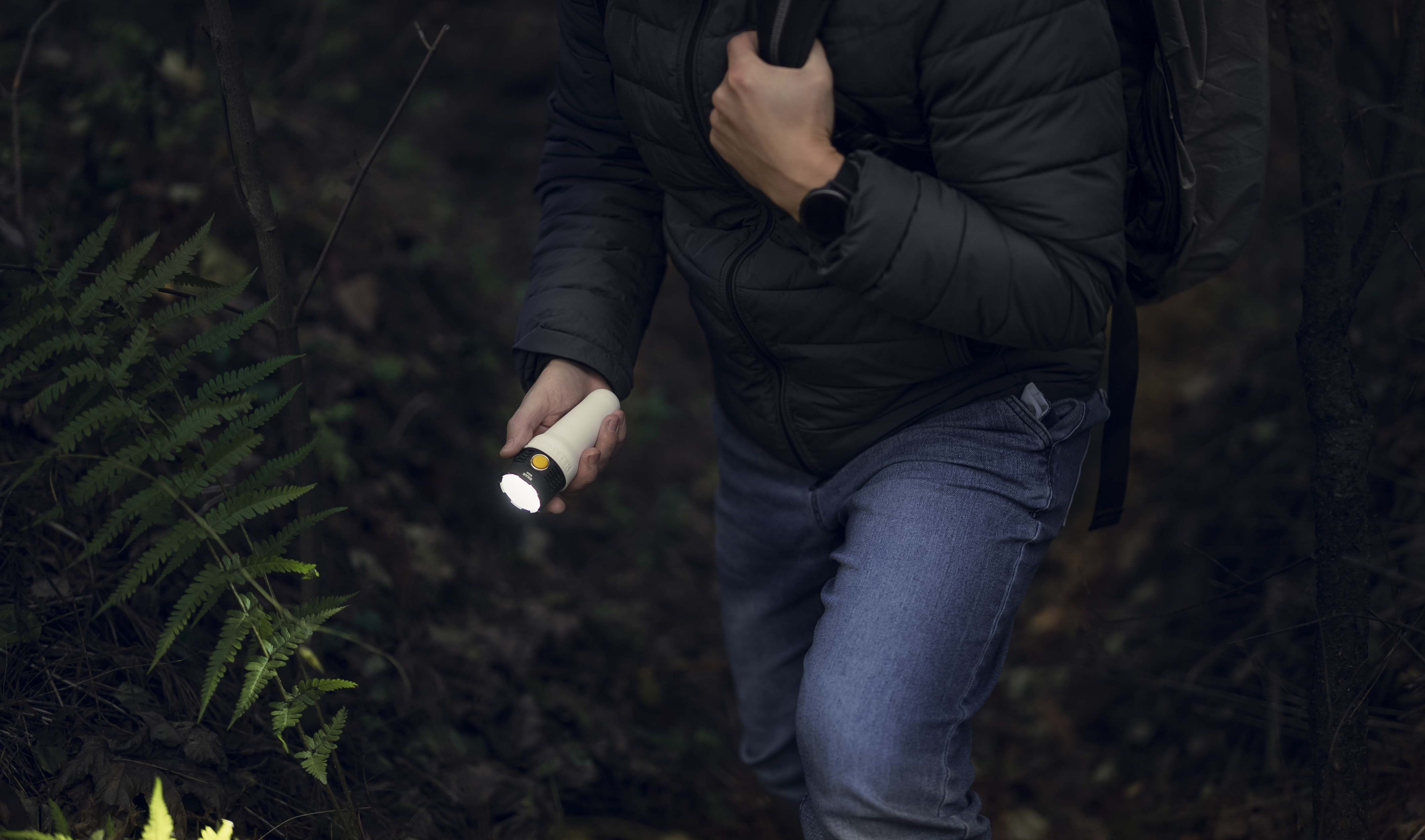 Фонарь Armytek Bear WRG