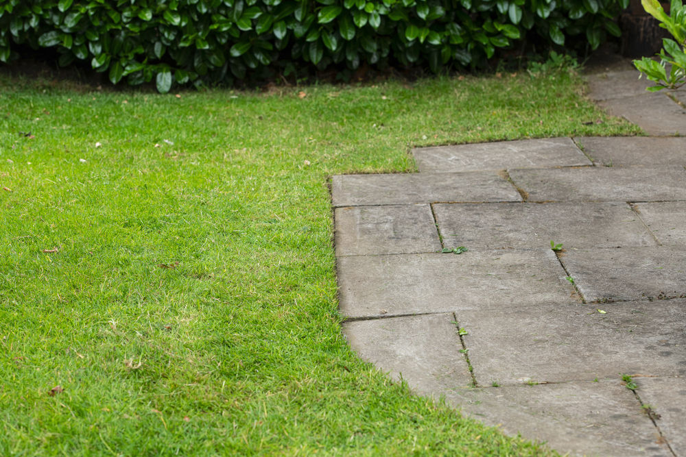 ONE + / Триммер подрезчик кромок RYOBI RY18EGA-0 (без батареи)