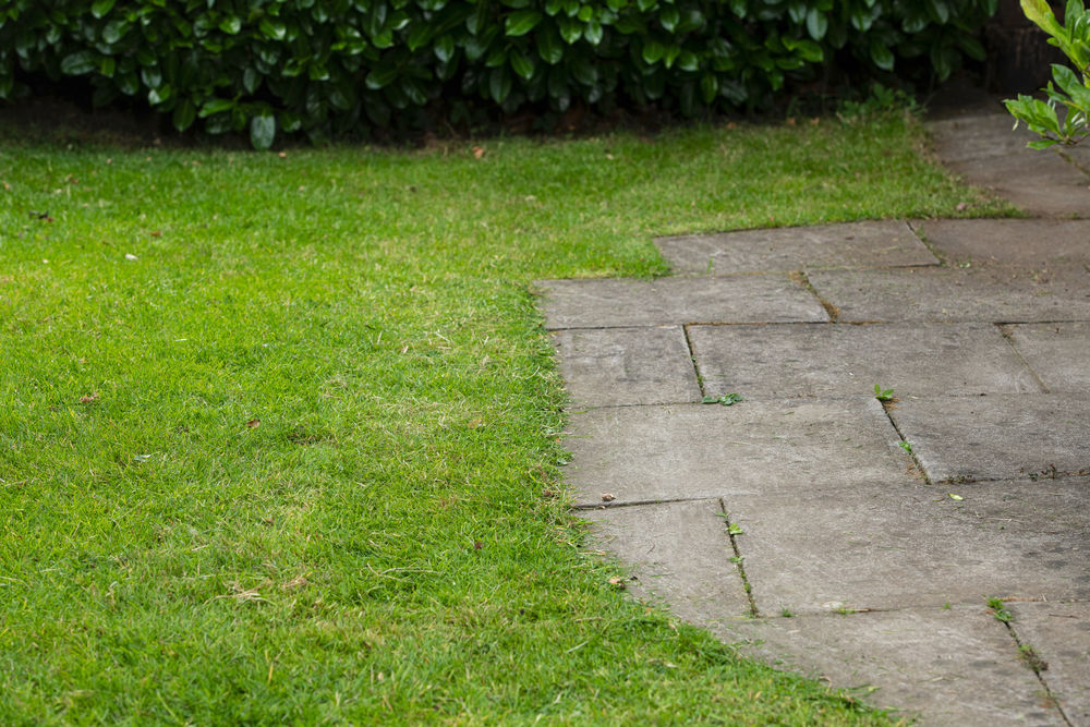 ONE + / Триммер подрезчик кромок RYOBI RY18EGA-0 (без батареи)