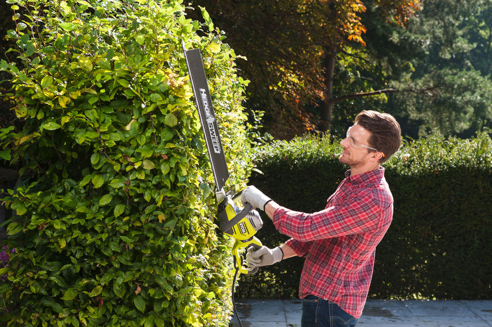 Кусторез электрический RYOBI RHT8165RL