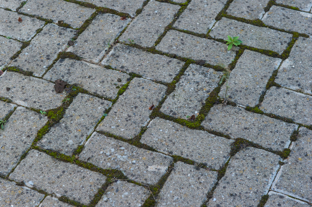 ONE + / Машина щеточная RYOBI RY18PCA-0 (без батареи)