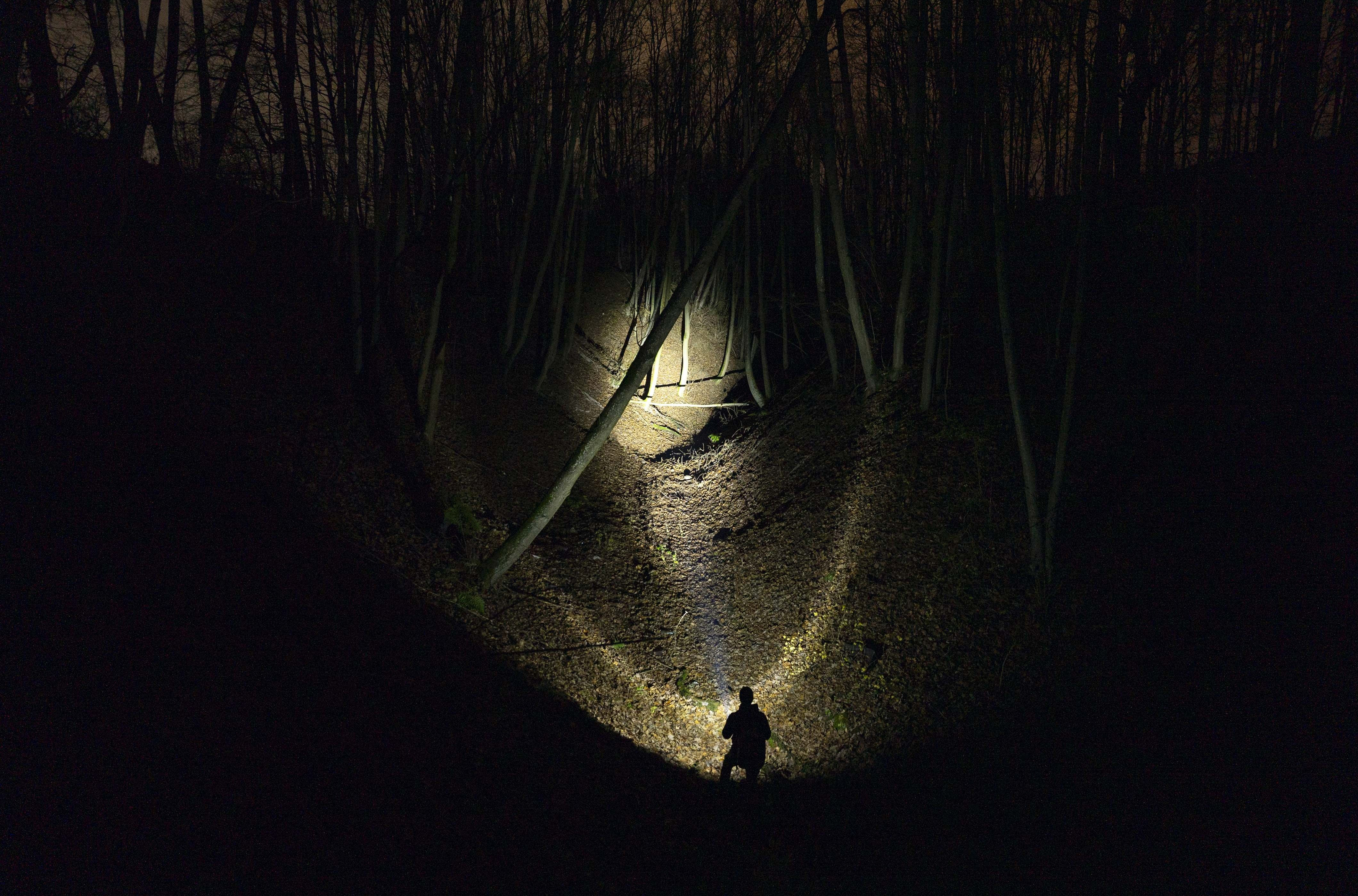 Фонарь Armytek Bear WRG