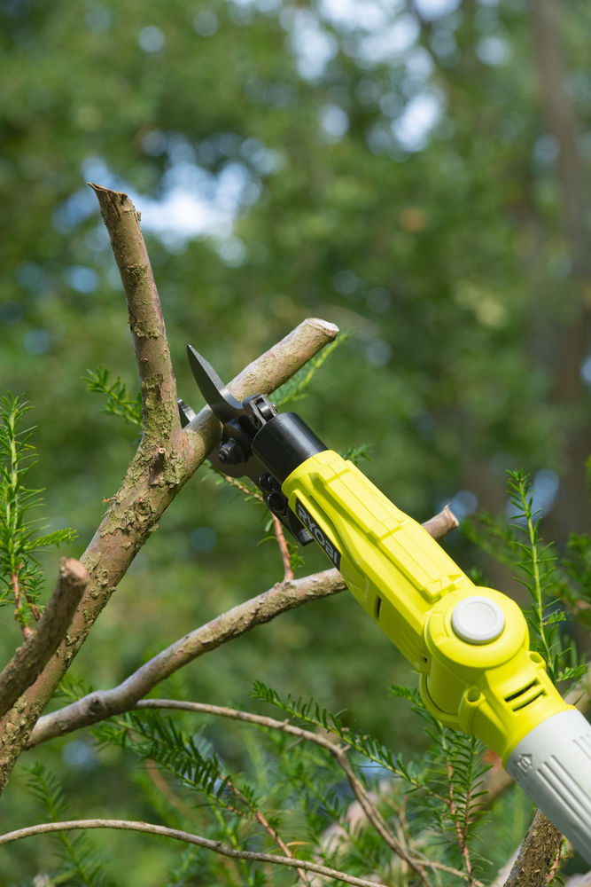 ONE + / Секатор (сучкорез) RYOBI RY18PLA-0 (без батареи)