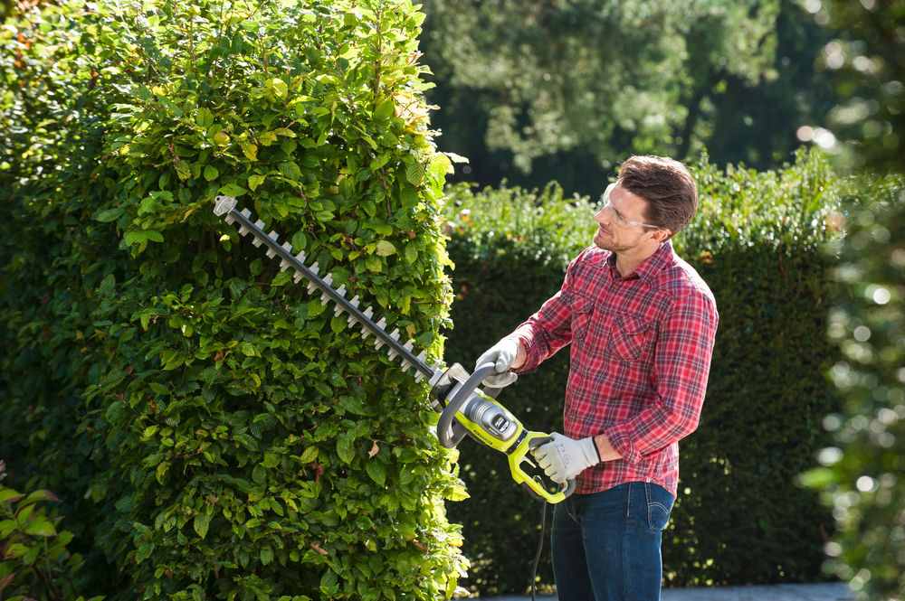 Кусторез электрический RYOBI RHT8165RL