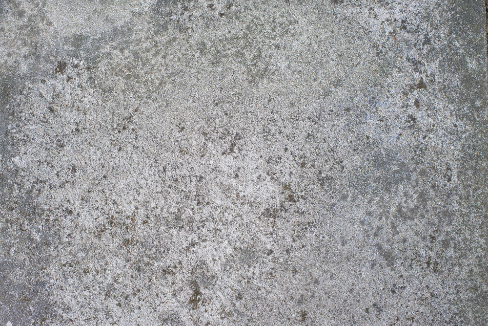 ONE + / Машина щеточная RYOBI RY18PCB-0 (без батареи)